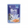 Kapsička Brit Premium Cat Delicate Fillets in Jelly with Salmon 85g Kapsička Brit Premium Cat Delicate Fillets in Jelly with Salmon 85g