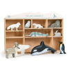 Drevené polárne zvieratká na poličke Polar Animals Shelf Tender Leaf Toys 10 druhov ľadových živočíchov TL8484 Drevené polárne zvieratká na poličke Polar Animals Shelf Tender Leaf Toys 10 druhov ľadových živočíchov TL8484