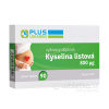 PLUS LEKÁREŇ Kyselina listová 800μg 90 tabliet PLUS LEKÁREŇ Kyselina listová 800μg 90 tabliet