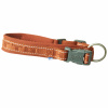 Veľkoobchod Casual Collar Eco Cinnamon - obojok pre psa, vyrobený z recyklovaných materiálov - 40-50 Veľkoobchod Casual Collar Eco Cinnamon - obojok pre psa, vyrobený z recyklovaných materiálov - 40-50