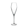 Atelier pohár na víno Champagne/Prosecco 27 cl Atelier pohár na víno Champagne/Prosecco 27 cl