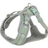 FlexMesh Premium postroj, široký střih, šalvějováL: 63-92 cm/ 25 mm FlexMesh Premium postroj, široký střih, šalvějováL: 63-92 cm/ 25 mm