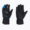 Pánske lyžiarske rukavice ZIENER Gunar Gtx alpine black/persian blue Pánske lyžiarske rukavice ZIENER Gunar Gtx alpine black/persian blue