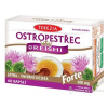 TEREZIA PESTREC + REISHI Forte kapsule 60 ks TEREZIA PESTREC + REISHI Forte kapsule 60 ks