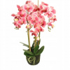 ORCHID V UMELOM KVETE (ORCHID V UMELOM KVETE) ORCHID V UMELOM KVETE (ORCHID V UMELOM KVETE)