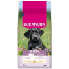 Krmivo EUKANUBA Puppy Large rich in fresh chicken 15 kg Krmivo EUKANUBA Puppy Large rich in fresh chicken 15 kg