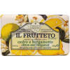 Nesti Dante Il Frutteto mydlo Citron and Bergamot 250 g Nesti Dante Il Frutteto mydlo Citron and Bergamot 250 g