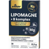 VITAR KINGS LIPOMAGNE + B komplex cps 1x30 ks VITAR s.r.o. VITAR KINGS LIPOMAGNE + B komplex cps 1x30 ks VITAR s.r.o.