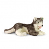 Veľký plyšový pes husky 60 cm ECO-FRIENDLY Veľký plyšový pes husky 60 cm ECO-FRIENDLY