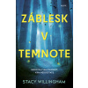 Záblesk v temnote MOTÝĽ - Stacy Willingham Záblesk v temnote MOTÝĽ - Stacy Willingham