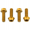 Wolf Tooth Skrutky M5x15 mm 4 ks pre košíky zlatá Wolf Tooth Skrutky M5x15 mm 4 ks pre košíky zlatá