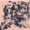 BARNETT & COLOCCIA - Third Wilderness (LP) BARNETT & COLOCCIA - Third Wilderness (LP)