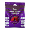 Tesla Sport Nutrition TESLA MASS SUPER CHARGER 8 kg Príchuť: jahoda Tesla Sport Nutrition TESLA MASS SUPER CHARGER 8 kg Príchuť: jahoda