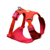 Postroj pre psy Ruffwear Front Range® Flex-rose-violet-M Postroj pre psy Ruffwear Front Range® Flex-rose-violet-M