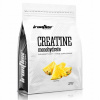 IRONFLEX KREATÍN MONOHYDRÁT 1000 g + TAURÍN - KREATÍNOVÝ MONOHYDRÁT IRONFLEX KREATÍN MONOHYDRÁT 1000 g + TAURÍN - KREATÍNOVÝ MONOHYDRÁT