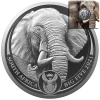 Stříbrná mince 1 Oz Big Five II - Elephant 2021 (1.) Stříbrná mince 1 Oz Big Five II - Elephant 2021 (1.)