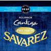 Savarez Alliance Cantiga SA510AJP Savarez Alliance Cantiga SA510AJP