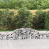 vidaXL Oblúkový gabionový kôš 11 ks 300x50x40/60 cm pozinkované železo vidaXL Oblúkový gabionový kôš 11 ks 300x50x40/60 cm pozinkované železo