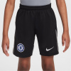 Nike Chelsea Goalkeeper Shorts 2025 2026 Juniors Black/Grey 9-10 rokov Nike Chelsea Goalkeeper Shorts 2025 2026 Juniors Black/Grey 9-10 rokov