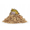 Substrát Happet PM03 Sphagnum Moss rašelinník 150 g Substrát Happet PM03 Sphagnum Moss rašelinník 150 g
