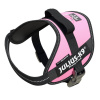 Julius-K9 IDC Powerharness Pink - postroj najvyššej kvality, postroj pre psa v ružovej farbe - Mini Julius-K9 IDC Powerharness Pink - postroj najvyššej kvality, postroj pre psa v ružovej farbe - Mini