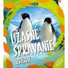 Úžasné správanie zvierat Úžasné správanie zvierat