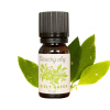 Aroma Natura Éterický Olej Biela Gáfor - 10ml Aroma Natura Éterický Olej Biela Gáfor - 10ml