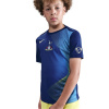 Nike Tottenham Hotspur Third Pre-Match Shirt 2025 2026 Juniors Blue/Yellow 7-8 rokov Nike Tottenham Hotspur Third Pre-Match Shirt 2025 2026 Juniors Blue/Yellow 7-8 rokov