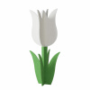 Boltze Dekoratívna figúrka tulipán Tulip bielo-zelený 82 x 36 x 36 cm, 1 ks Boltze Dekoratívna figúrka tulipán Tulip bielo-zelený 82 x 36 x 36 cm, 1 ks