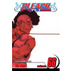 Bleach, Vol. 66 Bleach, Vol. 66