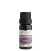 Nobilis Tilia Zmes éterických olejov Imunita 10 ml Nobilis Tilia Zmes éterických olejov Imunita 10 ml