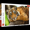 TREFL Tygří portrét 500 dielov TREFL Tygří portrét 500 dielov