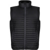 Regatta Professional Vesta Honestly Made TRA 861, polstrovaná COT36A86100200-black Černá XS Regatta Professional Vesta Honestly Made TRA 861, polstrovaná COT36A86100200-black Černá XS