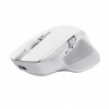 Trust Ozaa+ Multi-Device Wireless Mouse 24935 Trust Ozaa+ Multi-Device Wireless Mouse 24935