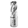 Vevor Výsečníky 5 ks Ø 15.87 mm, hĺbka 25.4 mm, hss pre magnetické vŕtačky GSGTZYC5JPJ1VHOGN001V0 Vevor Výsečníky 5 ks Ø 15.87 mm, hĺbka 25.4 mm, hss pre magnetické vŕtačky GSGTZYC5JPJ1VHOGN001V0