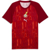 Puma Mens Ghana Warn-Up Shirt World Cup 2026 Red/Green M Puma Mens Ghana Warn-Up Shirt World Cup 2026 Red/Green M