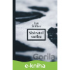 E-kniha Sběratel sněhu - Jan Štifter E-kniha Sběratel sněhu - Jan Štifter