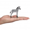 Mojo Zebra mláďa Mojo Zebra mláďa