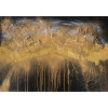 Plagát, Obraz - Molten Gold Flow, Anete Purina-Purite, 40 × 26.7 cm Plagát, Obraz - Molten Gold Flow, Anete Purina-Purite, 40 × 26.7 cm