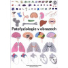 Patofyziologie v obrazech - Monika Pávková Goldbergová Patofyziologie v obrazech - Monika Pávková Goldbergová
