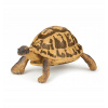 KORYTNAČKA HERMANA - Hermann's tortoise - PAPO - 50264 KORYTNAČKA HERMANA - Hermann's tortoise - PAPO - 50264
