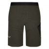 Salewa Lavaredo Hemp Train Dark Olive Pánske Teplákové Šortky Veľkosť 50 Salewa Lavaredo Hemp Train Dark Olive Pánske Teplákové Šortky Veľkosť 50