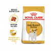 Royal Canin Jack Russell adult 1,5 kg Royal Canin Jack Russell adult 1,5 kg