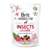 Brit Care Dog Crunchy Cracker Insects with Lamb enriched with Raspberries 200 g Brit Care Dog Crunchy Cracker Insects with Lamb enriched with Raspberries 200 g