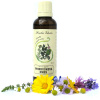 Herba Vitalis Tinktúra z bylín priedušková zmes 50 ml Herba Vitalis Tinktúra z bylín priedušková zmes 50 ml