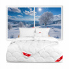ANTIALERGICKÁ ZIMNÁ PRIKRÝVKA 100x135 + 1 VANKÚŠ 40x60 TEPLÁ BIELA SÚPRAVA ANTIALERGICKÁ ZIMNÁ PRIKRÝVKA 100x135 + 1 VANKÚŠ 40x60 TEPLÁ BIELA SÚPRAVA