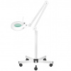 Kozmetická lampa s lupou BeautyOne S5 LED so stojanom Ø 12 cm šošovka | 22 W | 5 dioptrií Kozmetická lampa s lupou BeautyOne S5 LED so stojanom Ø 12 cm šošovka | 22 W | 5 dioptrií