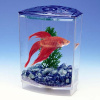 PENN PLAX BETTA akvárium 10x10x15cm + rastlina + štrk pre bojovnice PENN PLAX BETTA akvárium 10x10x15cm + rastlina + štrk pre bojovnice