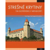 Strešné krytiny na Slovensku v minulosti Strešné krytiny na Slovensku v minulosti