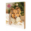 Adventný kalendár pre psy, 30x34x3,5cm TRIXIE Adventný kalendár pre psy, 30x34x3,5cm TRIXIE